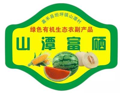 嘉禾第二届富硒西瓜节倒计时 一场品味健康与丰收的盛会