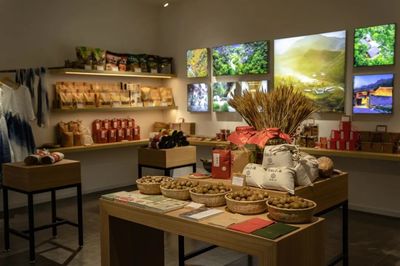 小院儿里的新春 2021，有你就好