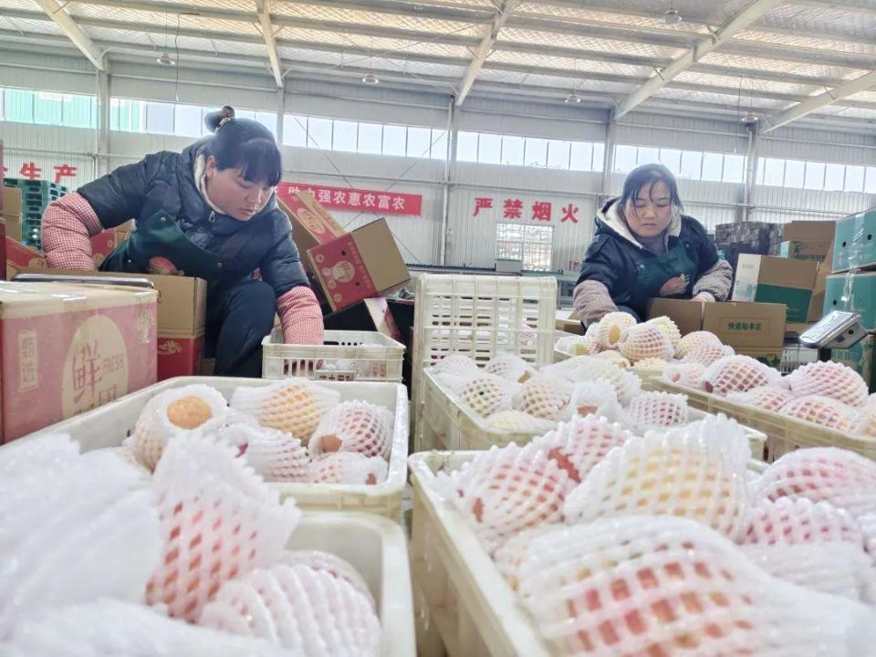 农副产品深加工 奏响乡村振兴“奋进曲”