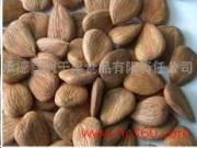 承德嘉利干果食品有限责任公司 绿色农副产品的天然宝库