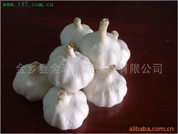 金乡县金马果蔬制品 打造农副产品的绿色名片