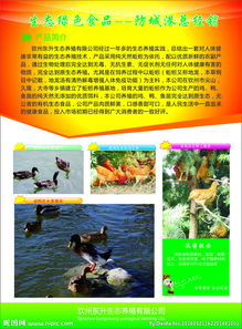 舌尖上的乡野馈赠 高品质农副产品，源自自然，健康守护