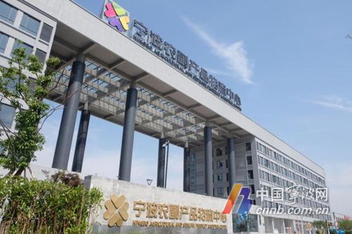 农批新地标，一站式采购！宁波农副产品物流中心开启试运营