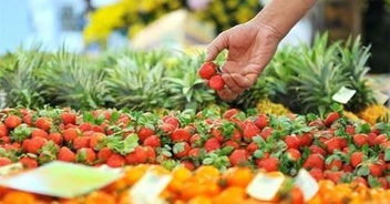 三部门联合部署 政府采购农副产品优先支持贫困地区，具体实施方案详解