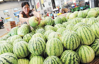 市农副批发市场水果区 品种全供应足，购销两旺